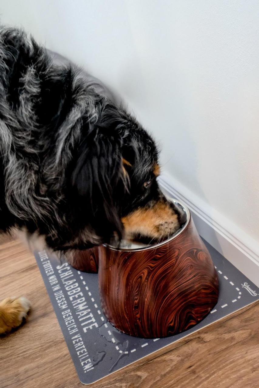 Landhaus Schulze - Ihr Hundefreundliches Hotel Im Harz ヘルツベルク・アム・ハルツ エクステリア 写真